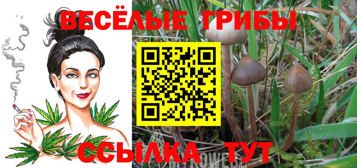 Псилоцибиновые грибы прущие грибы Электросталь